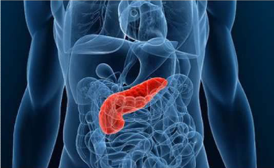 Pancreatic cancer: essential information - Acobiom